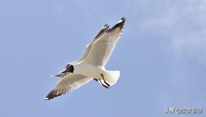 故事：这个50岁的男人，在救护车里求我嫁给他。半路夫妻靠谱吗？