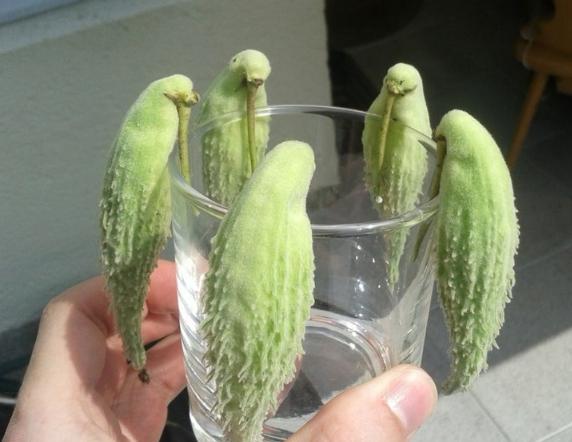 25张欺骗你眼睛的图片,100张欺骗眼睛的图片高清