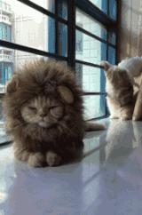 无线路由器搞笑图片,搞笑路由器视频大全