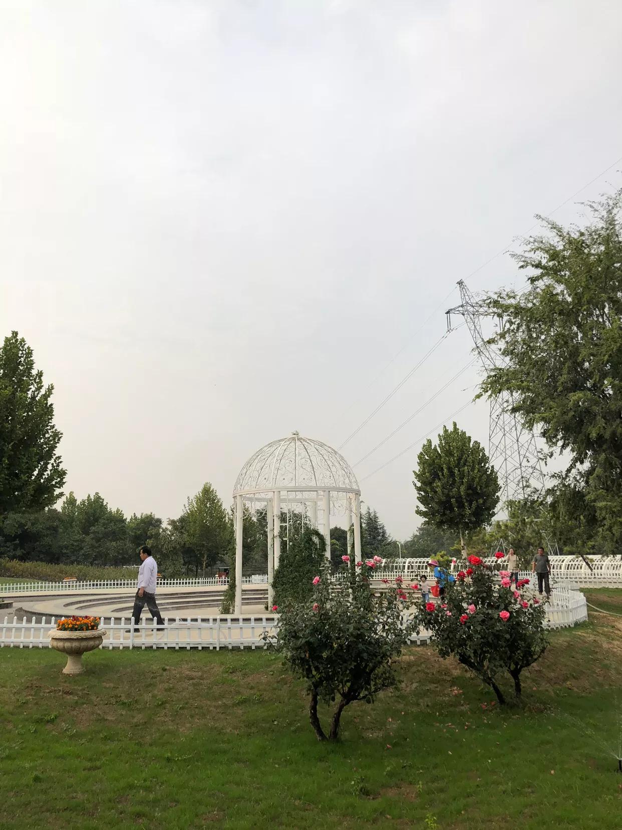 郑州免费公园树木园,郑州树木园开放