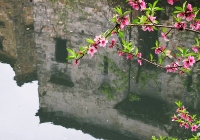 沾衣欲湿杏花酒不寒杨柳风,沾衣杏花雨吹面不寒杨柳风意思