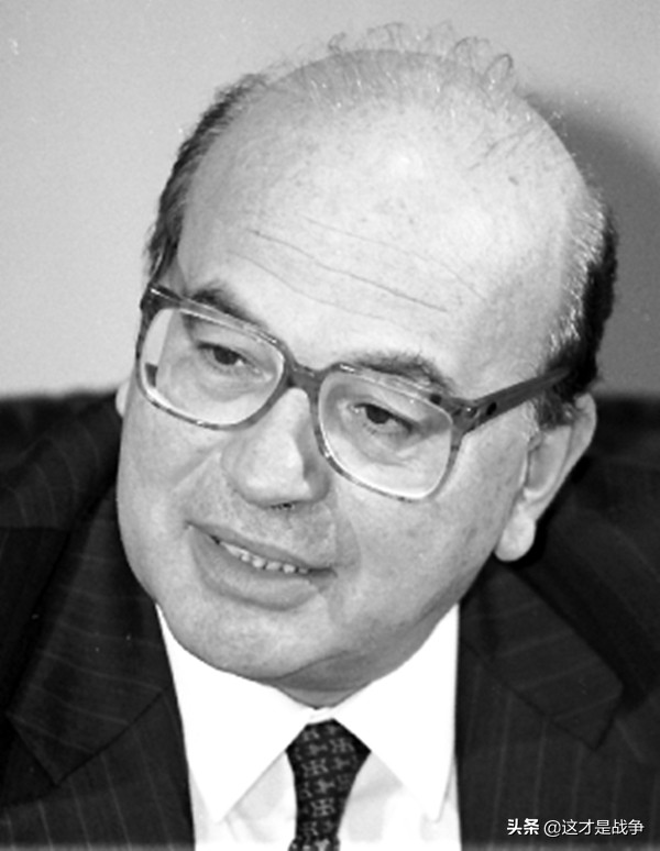 意大利军队作战,意大利部队作战