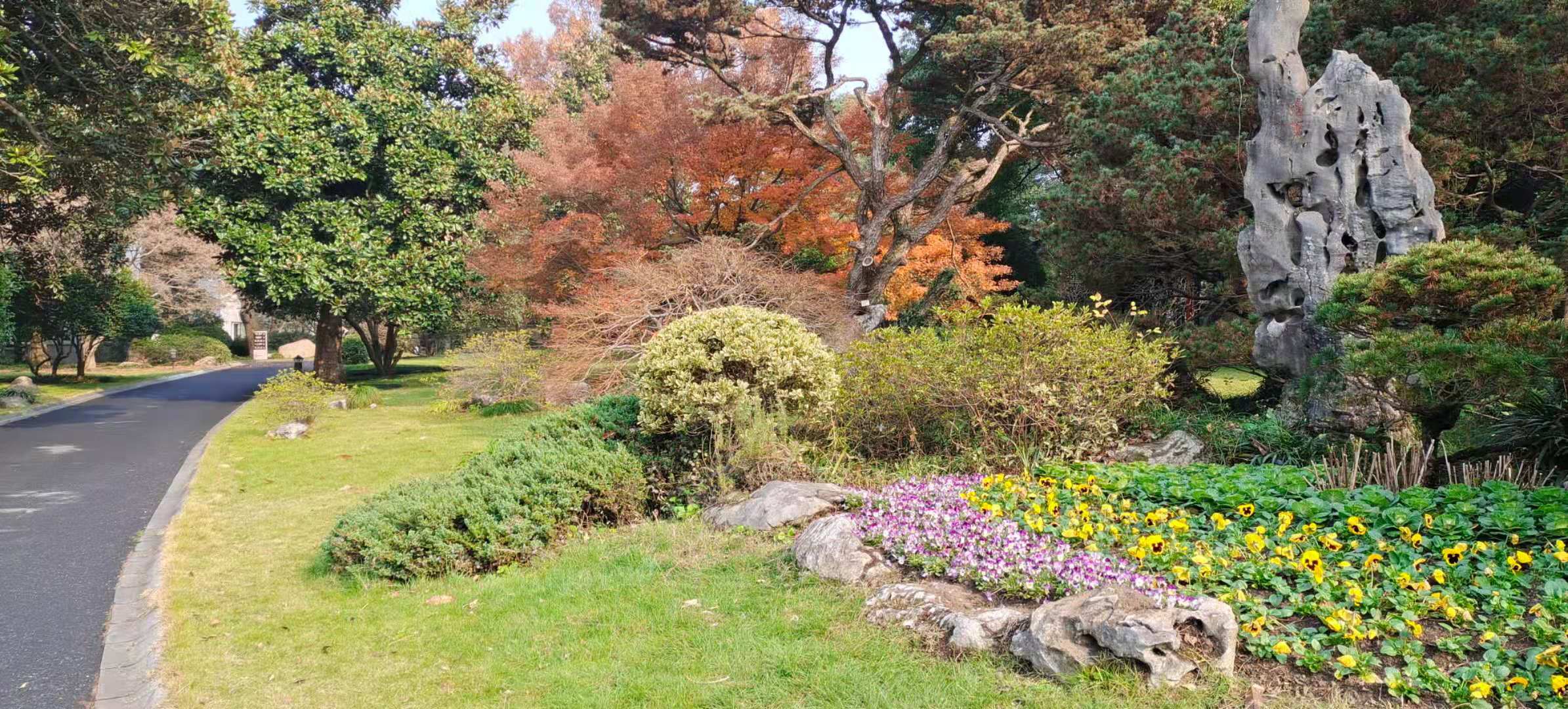 西湖国宾馆周边美景,西湖国宾馆风景