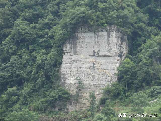 李白关于夜郎诗句,李白夜郎国的诗