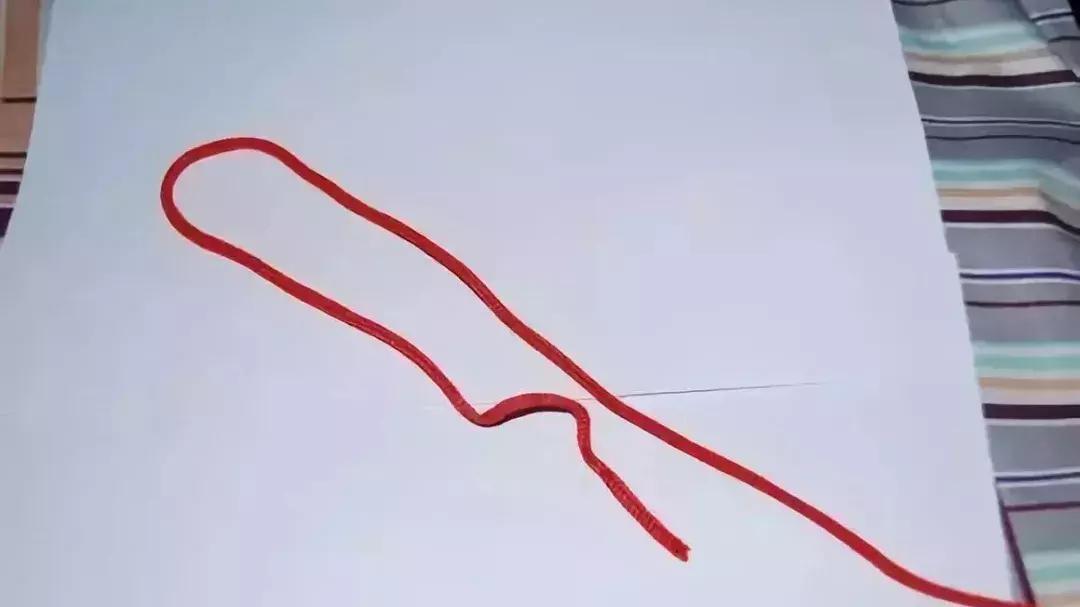 伯劳鸟饲养,没睁眼的伯劳怎样饲养