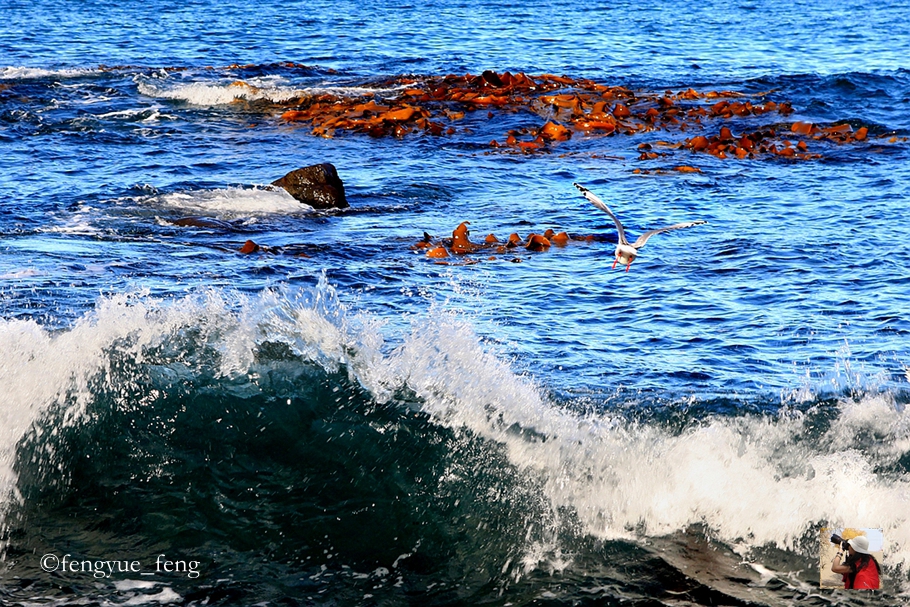 新西兰有哪些景观,新西兰风景最好的地方在哪里