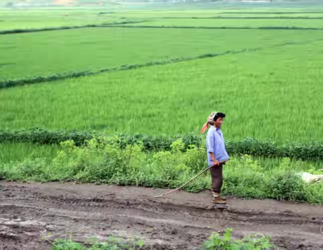 朝鲜医疗免费住房免费,朝鲜免费住宅图片