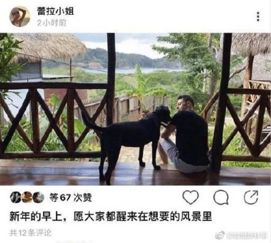 许婧为什么和陈赫离婚,许婧和陈赫为什么离婚