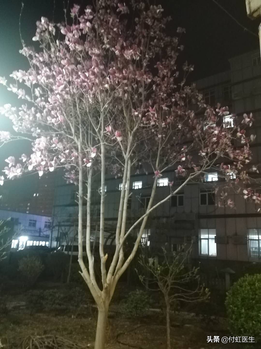 怀孕肚子发硬怎么判断,怀孕了发现宫外孕怎么办