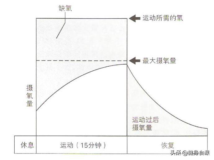 燃脂第一名的运动,燃脂第一名食物