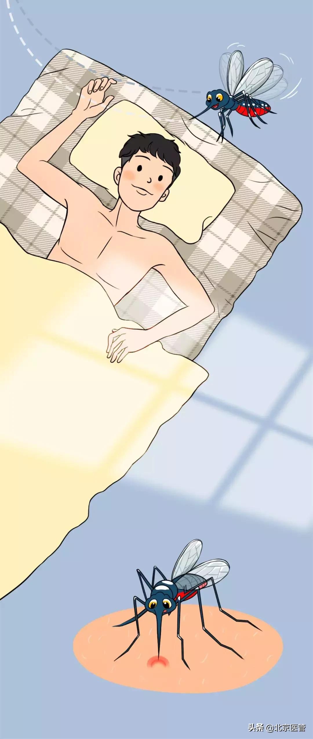 夏天蚊子太烦人教驱蚊的绝招,夏天怎么预防蚊子最有效