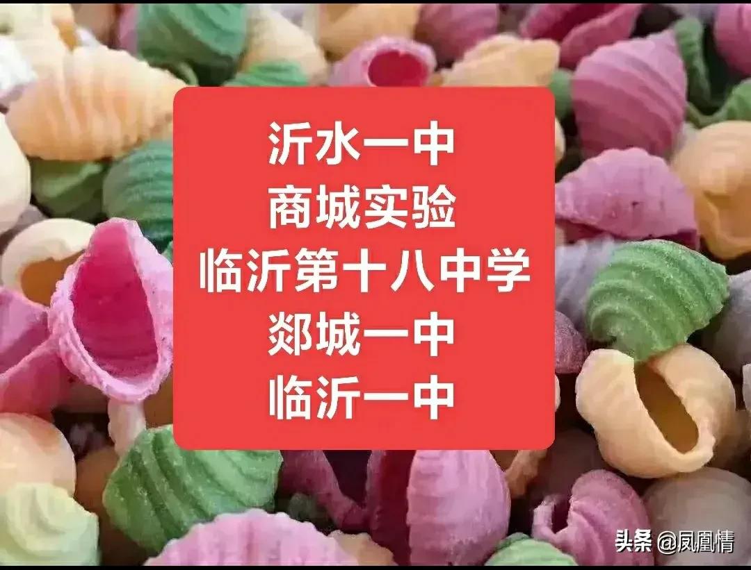 临沂落后,临沂第十八中升学率