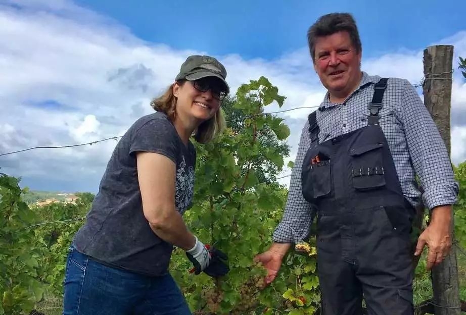 在波尔多买红酒多少钱,买一座法国波尔多一级酒庄多少钱