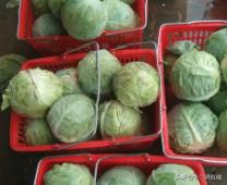 响沙湾景区教师节教师有优惠吗,教师节有什么免费又好玩的景点吗