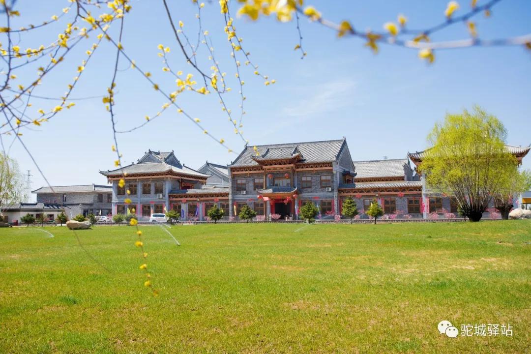 榆林芹河旅游,榆阳区周末游玩推荐