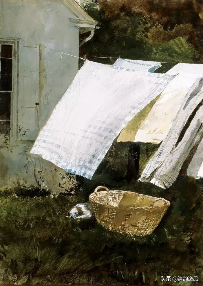 类似安德鲁怀斯的画家,安德鲁怀斯画家视频