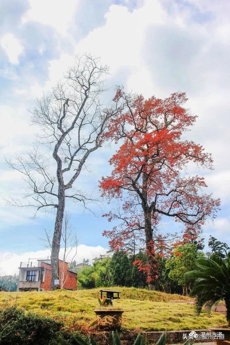 南田刘基故里景区,南田刘基庙