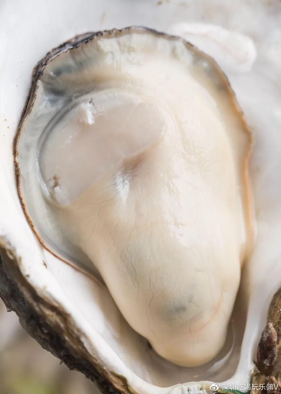 宝安人的顺德饭堂,生蚝用木桶蒸,还加黑松露