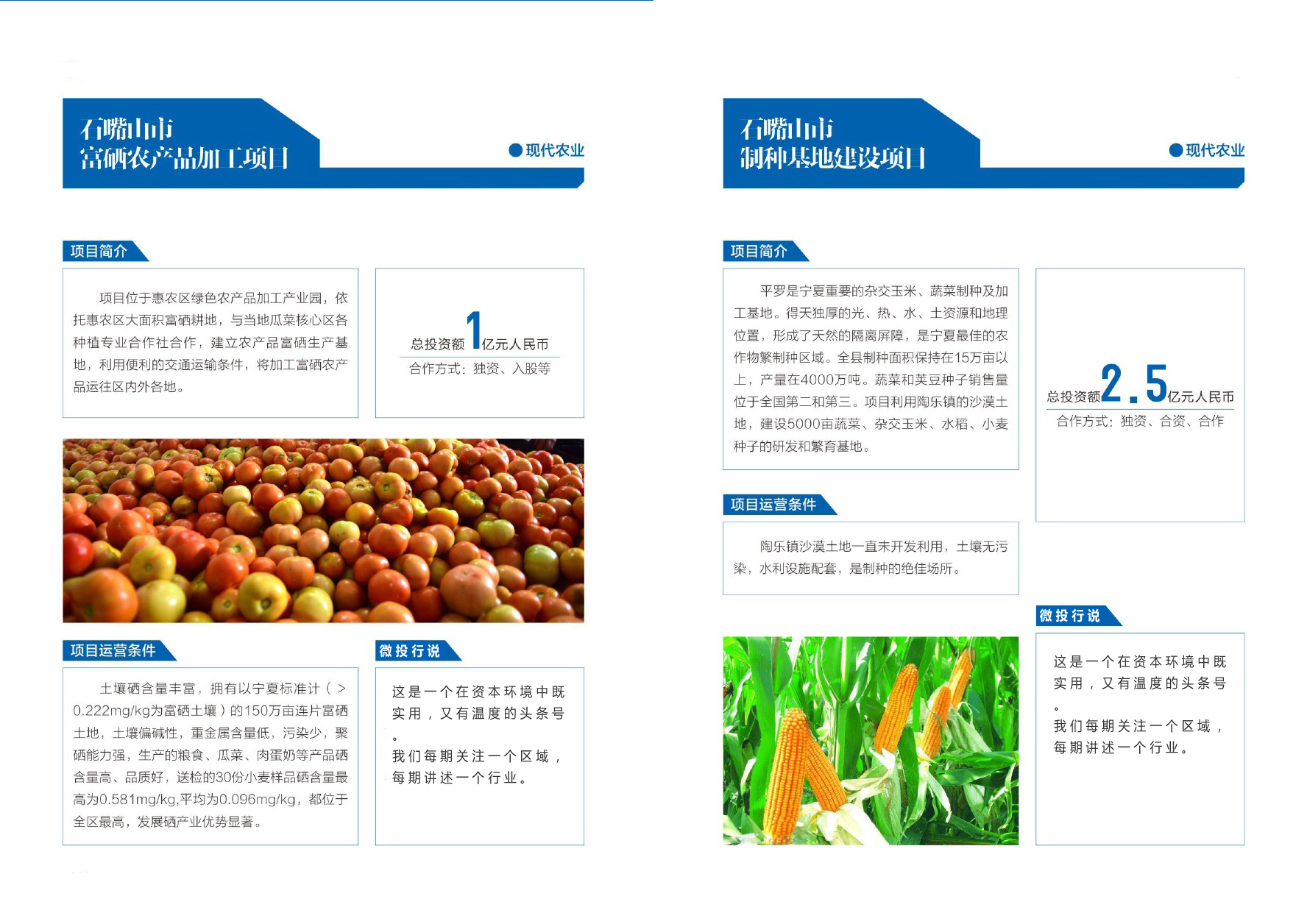 优选宁夏23个农业投资项目丨墨瑞鳕鱼、种子、巴士奶、牡丹、冷蔬