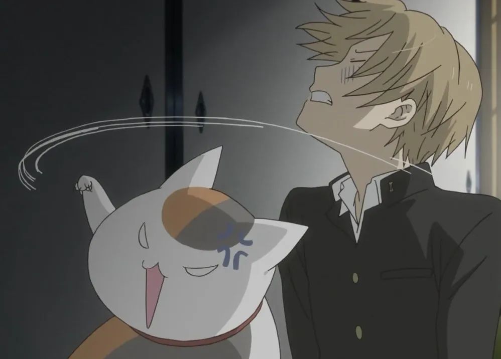 mal动漫评分前十,mal排名第一