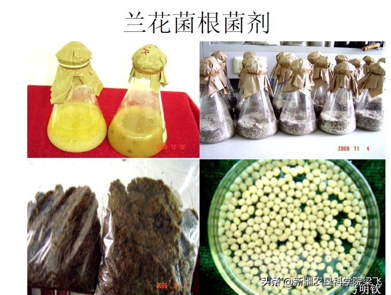 什么能化解土壤里的磷肥,磷肥怎样不板结