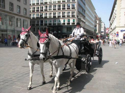 欧洲蓝色多瑙河旅游,蓝色多瑙河美景