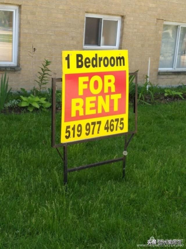 国际出行攻略,新西兰旅游攻略租车