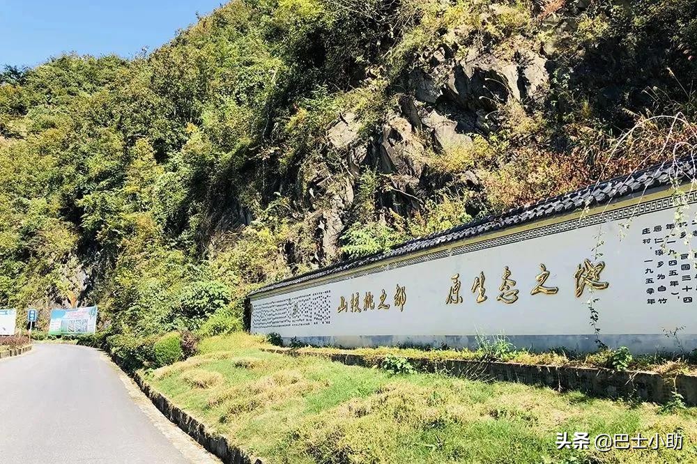 临安山核桃年货,年货临安山核桃黑皮