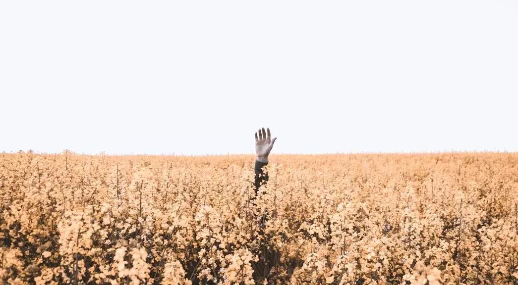 做微商做赔了怎么办,做微商有赔钱的吗