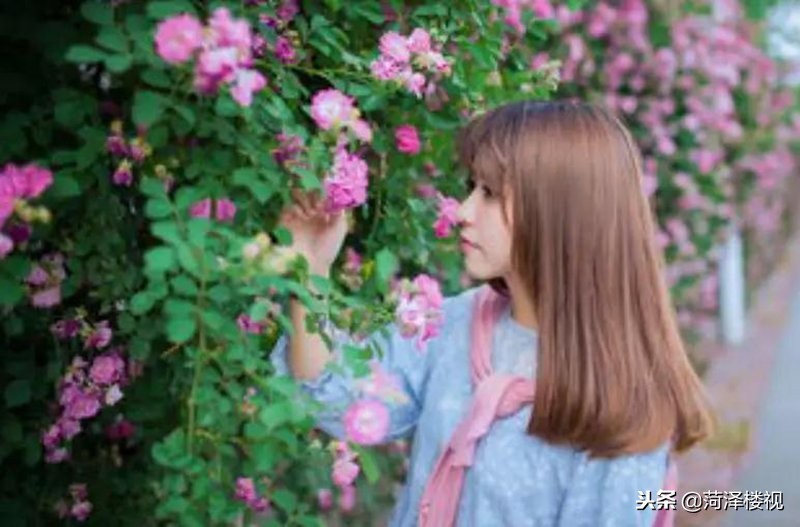 全城告白季中北·西城一品全资源助你告白