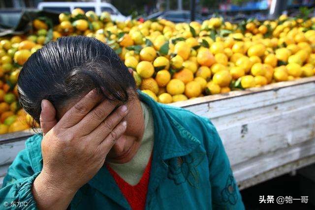 农产品下乡收购平台,农产品收购销售渠道