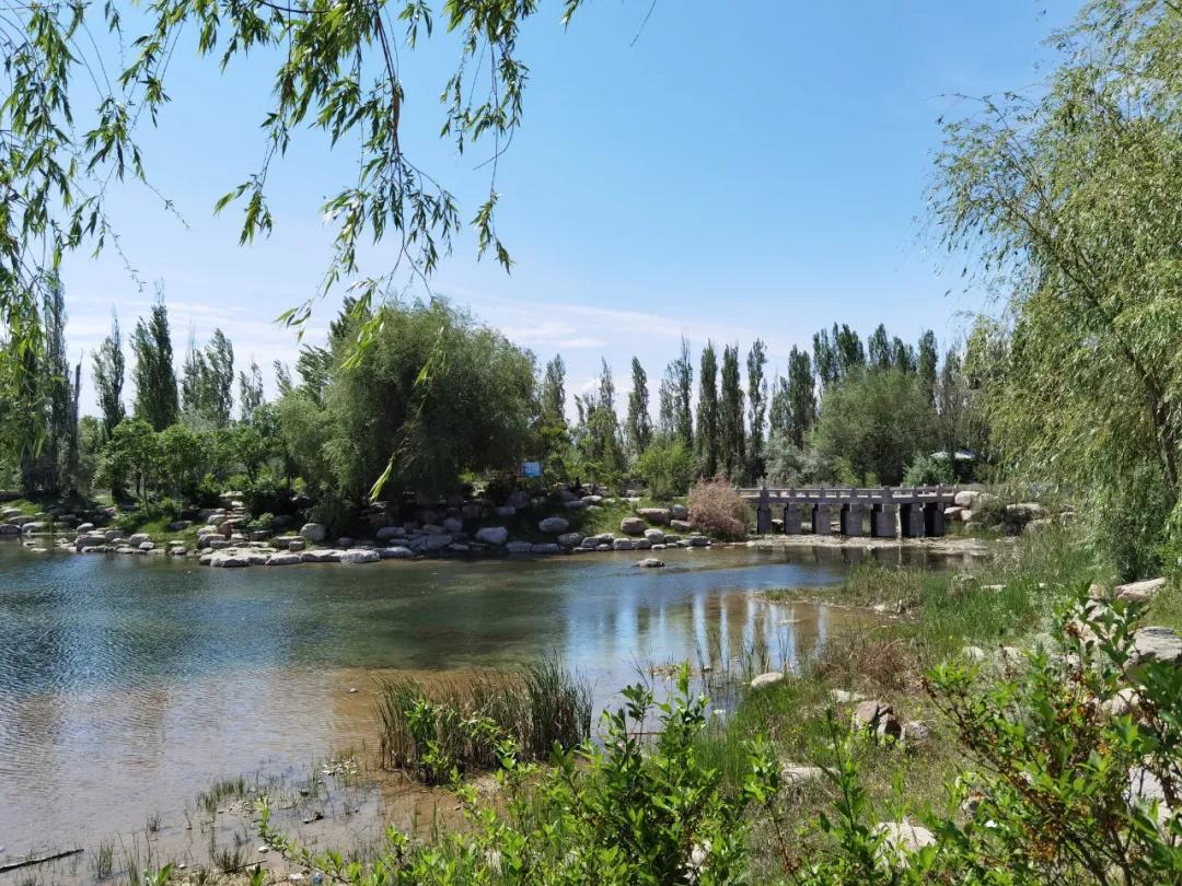 伊犁最美的50处绝色美景,伊犁最美的小众景点