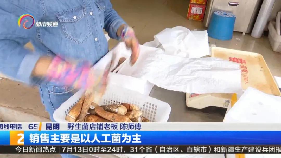 云南菌子交易市场直播,专门卖菌子直播