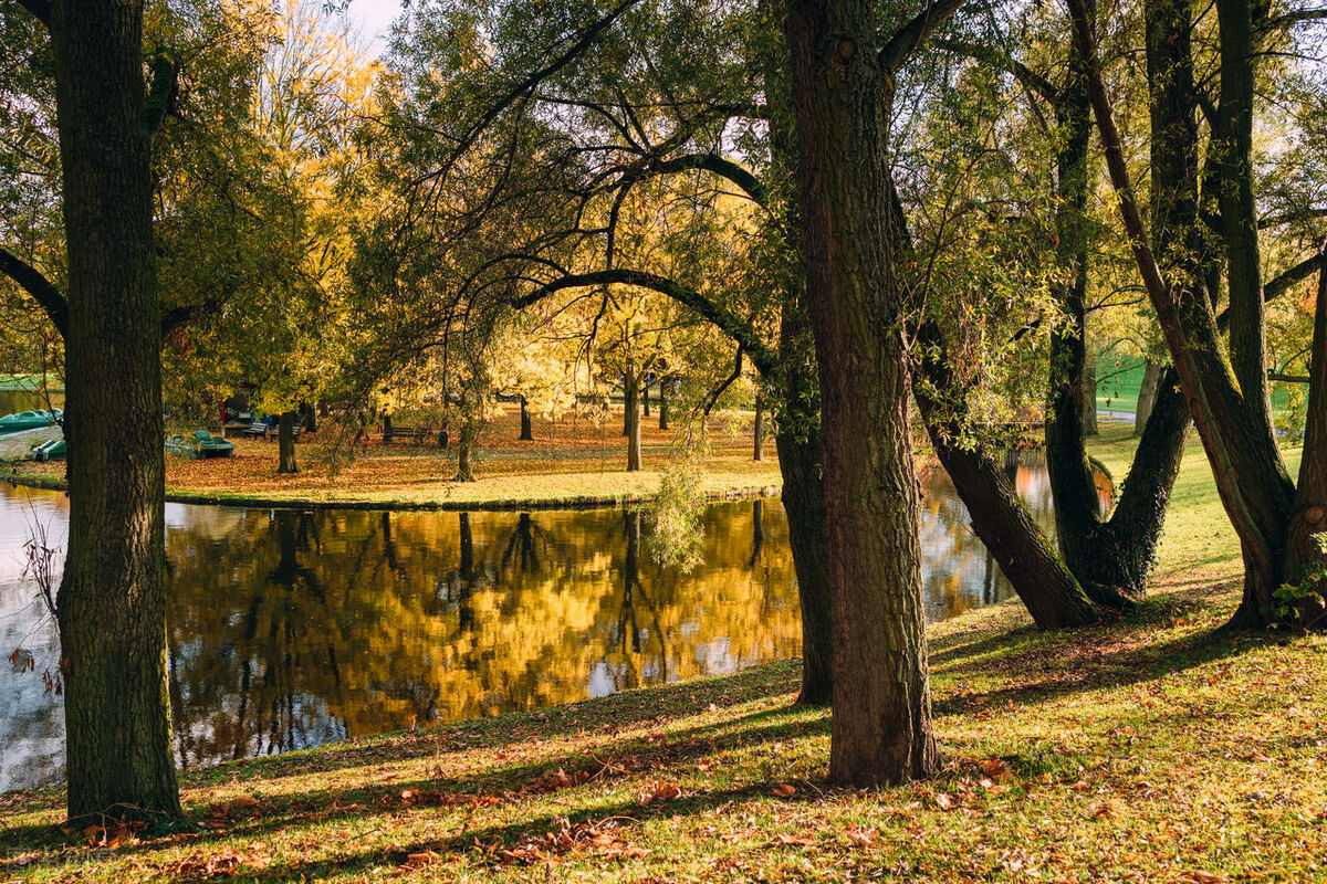 二战德国强大工业,德国工业实力为什么强