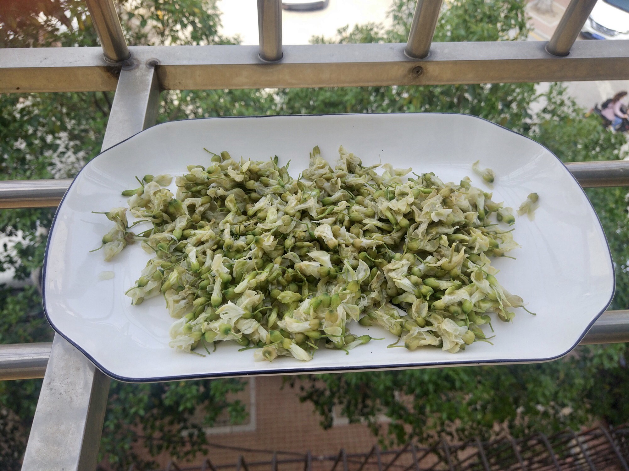 槐花的正确吃法和食用方法,槐花的最佳吃法吃槐花有什么好处