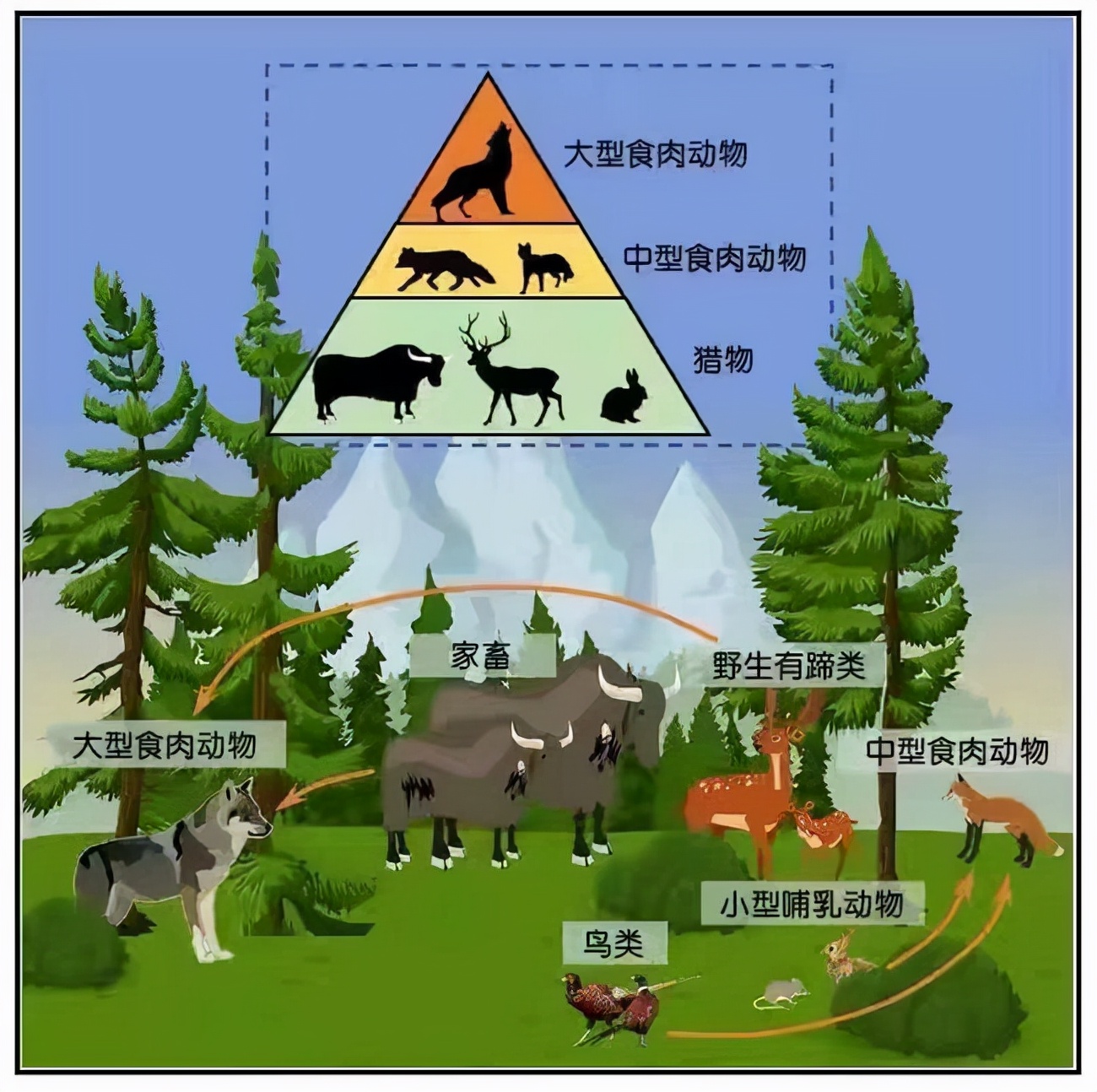 全国最罕见的发现,极其罕见的物种