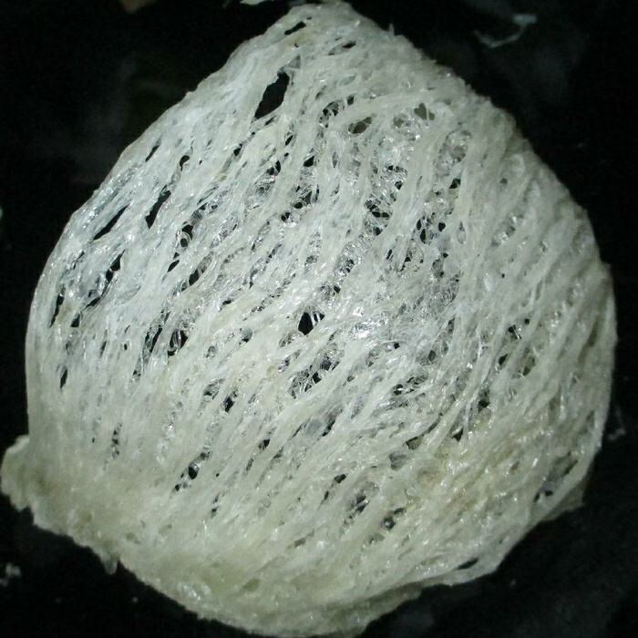 买回来燕窝有点潮湿,买回来的燕窝是调过毛的吗