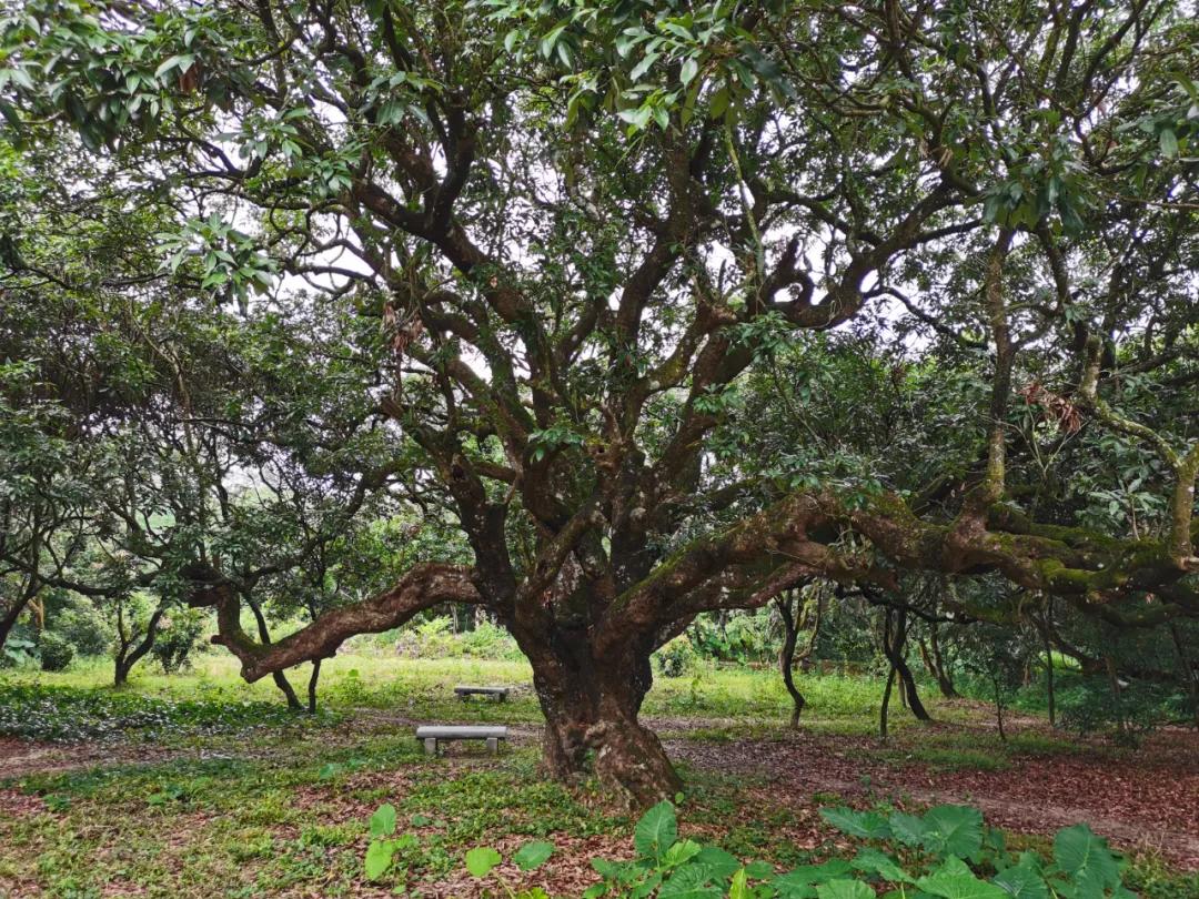 检察蓝用心守护海洋蓝,检察蓝守护最美夕阳红