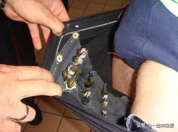 从体内取出17cm的异物,到底有多累