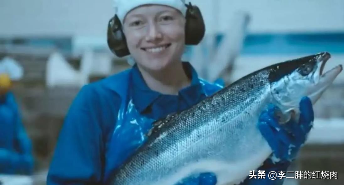 挪威为什么是最适合居住的国家,挪威是个怎样的国家