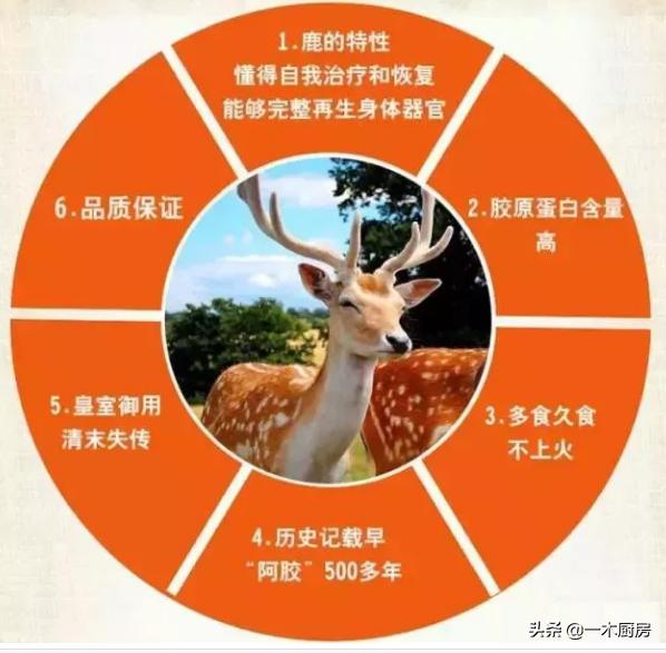 百胶之王是什么胶,鹿胶来源