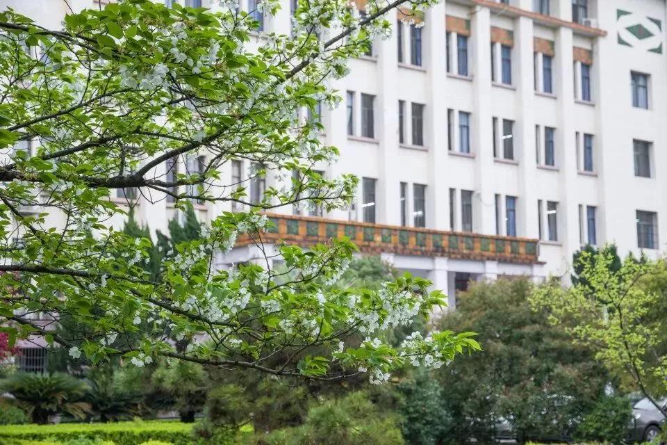 湖南高校占地面积,湖南省高校占地