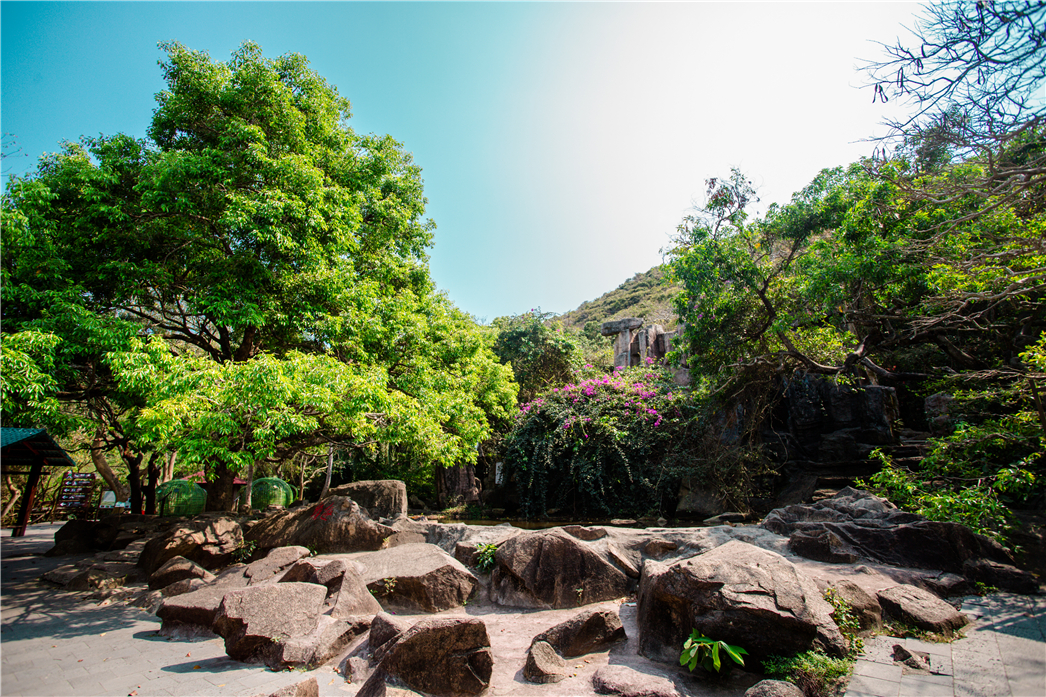 海南必玩猴岛与呆呆丨看萌呆猕猴,呆呆岛发呆