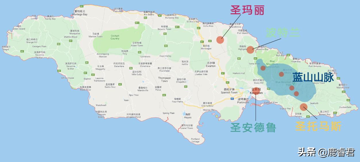 关于咖啡的知识和品种,关于咖啡你最想知道什么知识