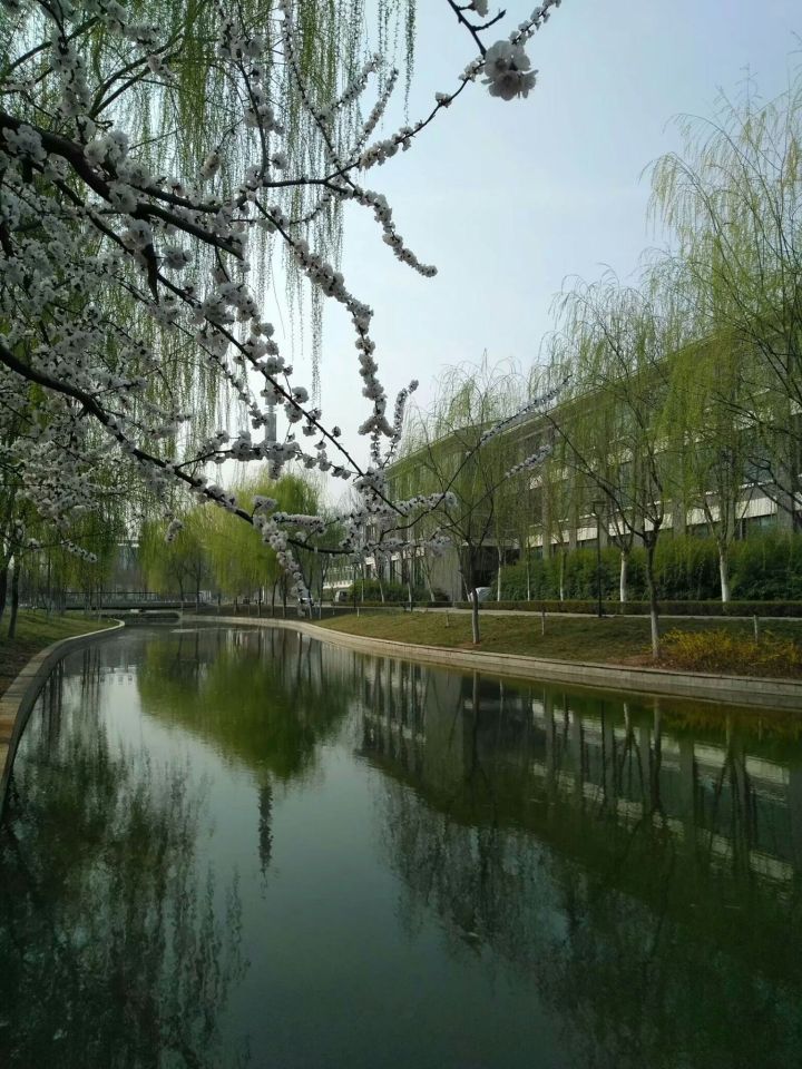 河南省洛阳师范学院,河南省师范高等专科学校