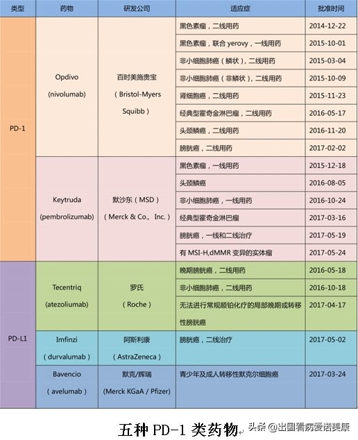 早期肺癌免疫治疗进口,pd1免疫疗法能治愈晚期肺癌吗