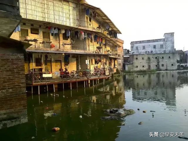 塘鲺鱼的克星,鱼塘塘鲺鱼钓饵