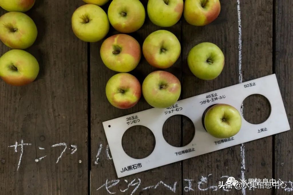 日本苹果种植现状,为什么日本苹果质量比中国的好