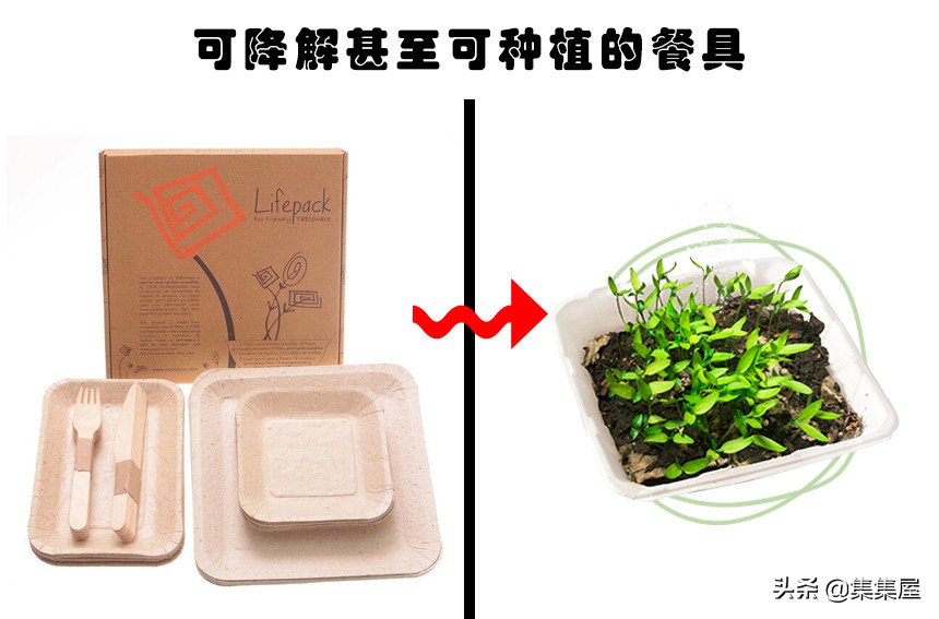 已经普及的环保发明,世界上最简单的环保发明