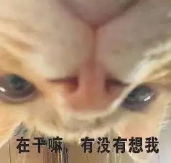 word表格你一定踩过的坑,word表格全攻略